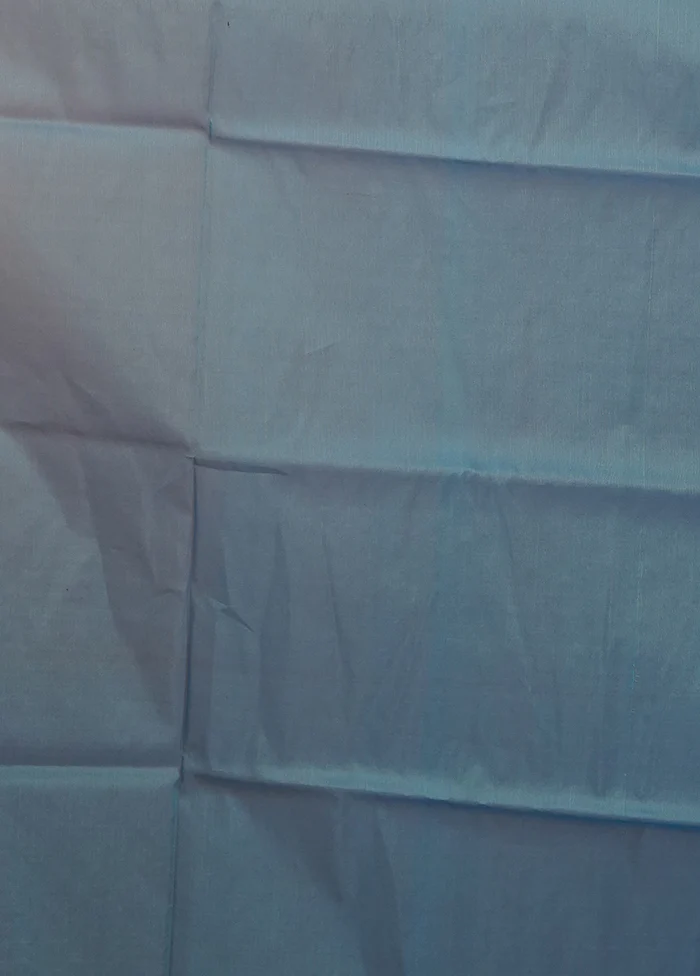 Blue Organza Saree With Blouse Piece - Image 5