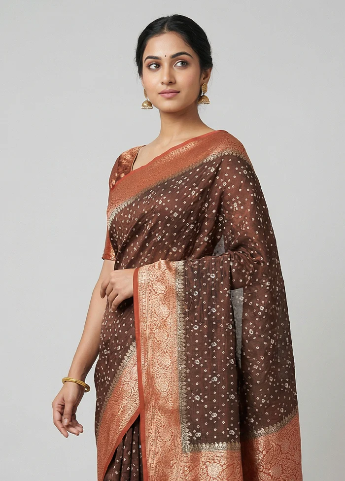 Brown Dupion Silk Saree With Blouse Piece - Image 2