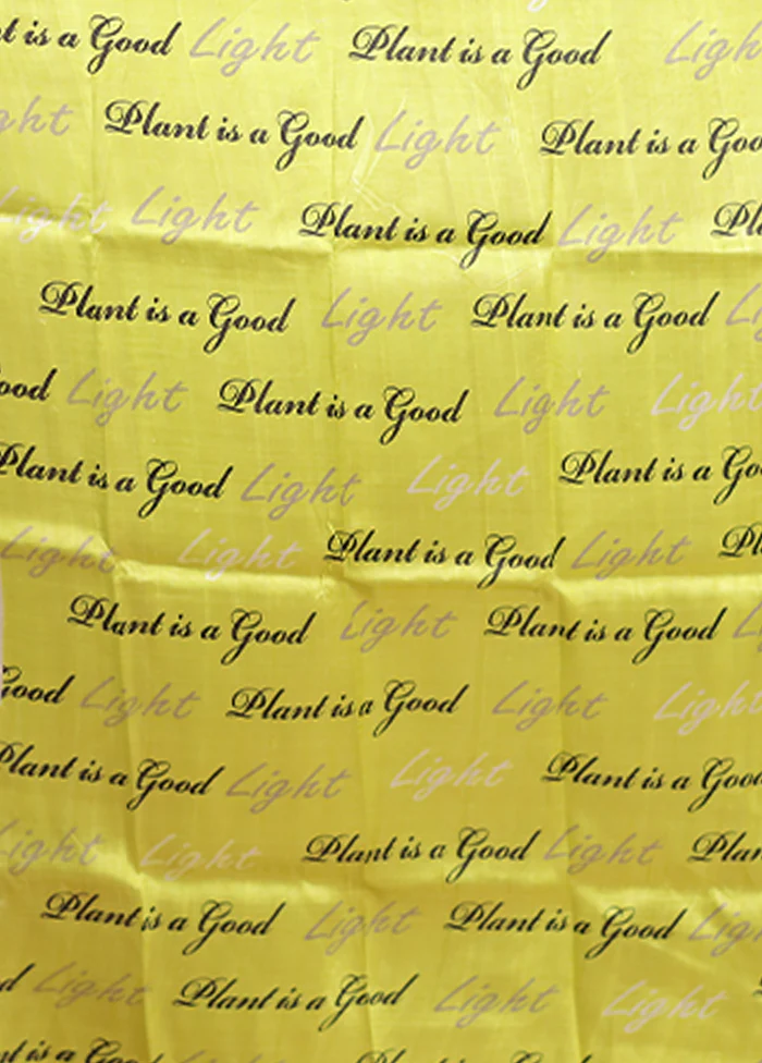 Cream Handloom Printed Pure Silk Saree Without Blouse Piece - Image 5