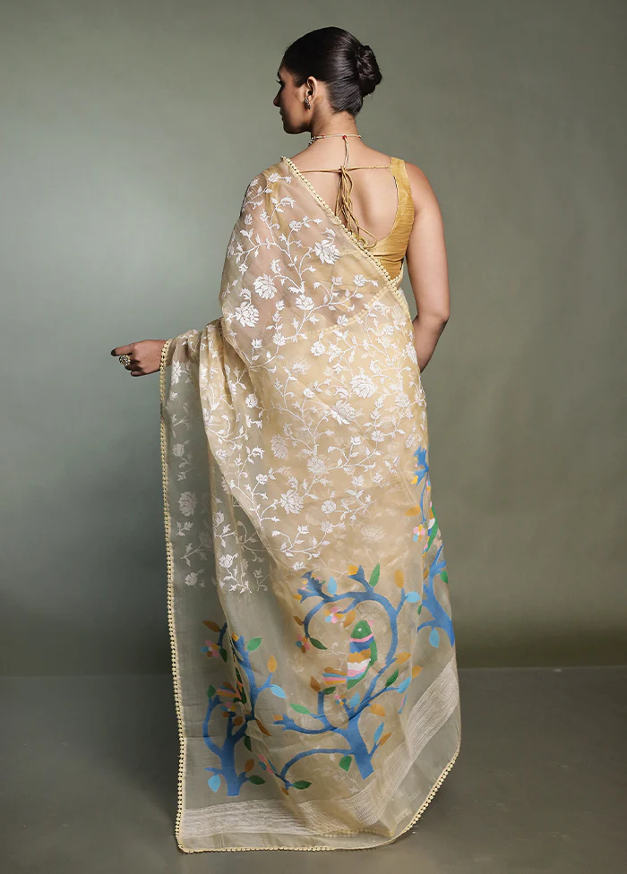 Cream Handloom Pure Organza Saree With Blouse Piece - Image 3