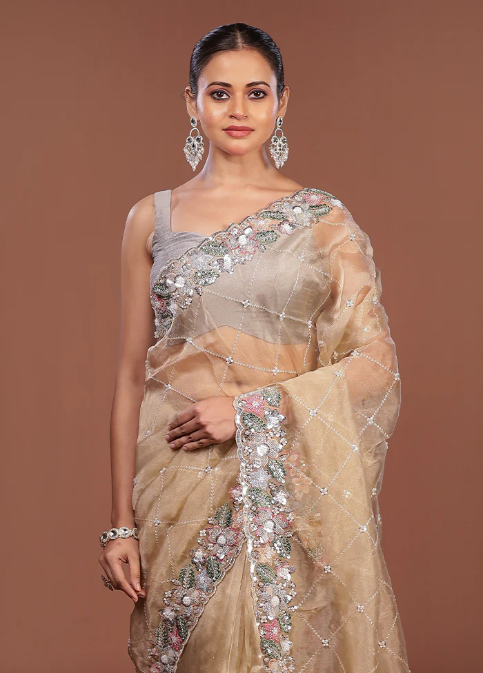 Cream Handloom Tissue Pure Silk Saree With Blouse Piece