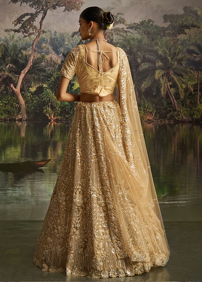 Cream Net Lehenga Set - Image 3
