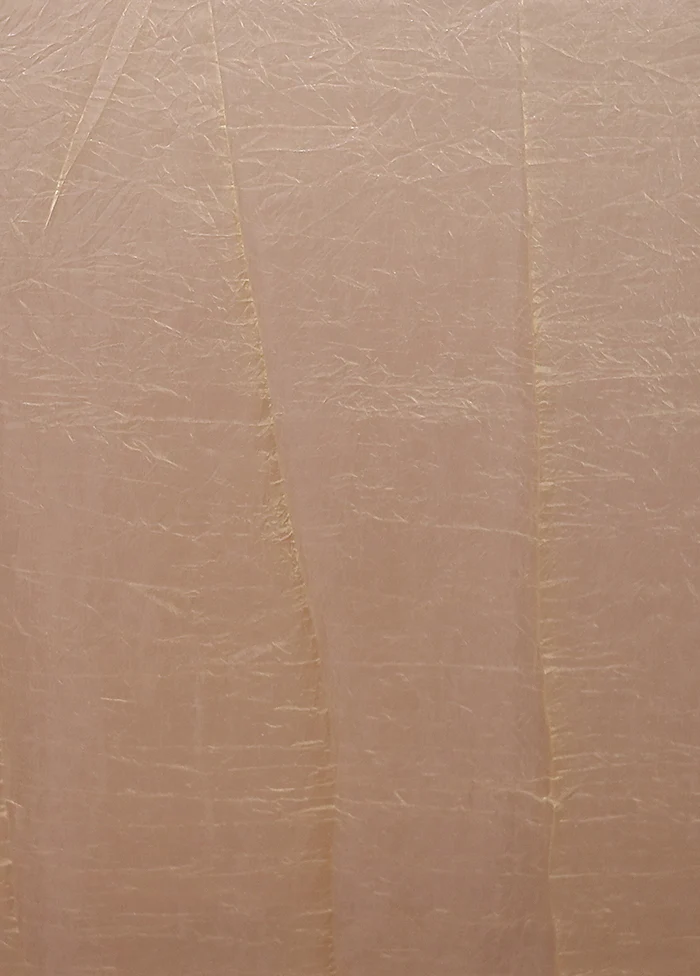 Cream Tissue Silk Saree With Blouse Piece - Image 5