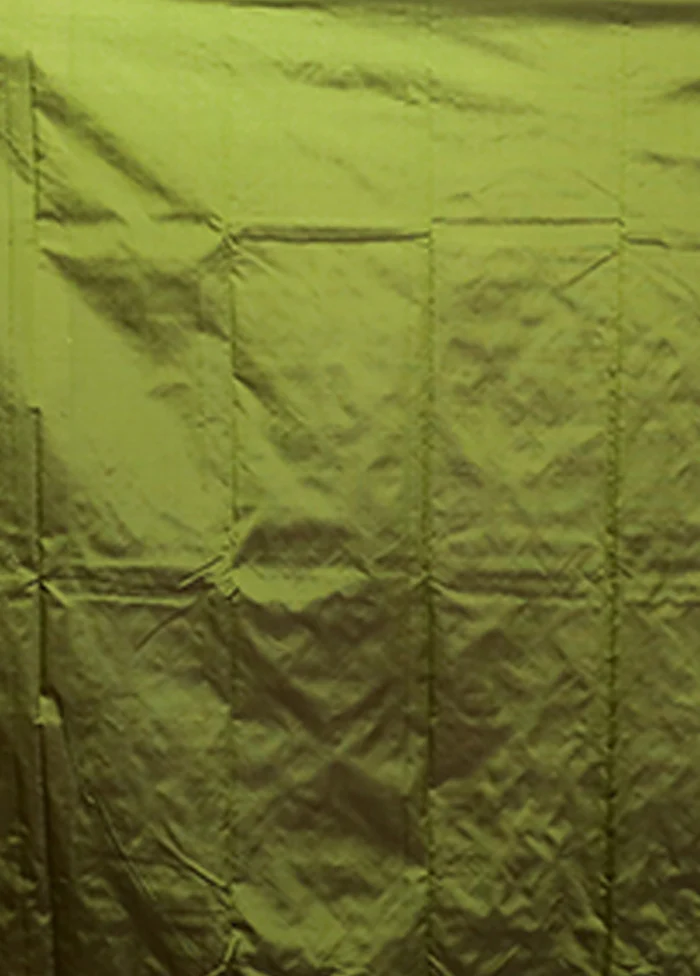 Green Kanjivaram Silk Saree With Blouse Piece - Image 5