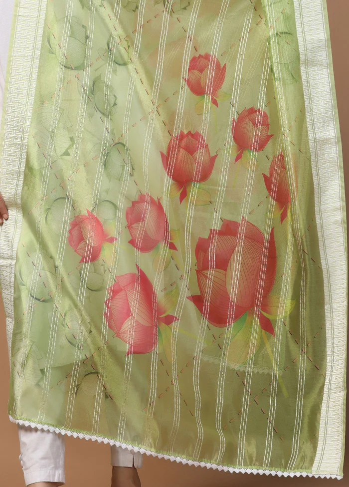 Green Organza Dupatta - Image 3