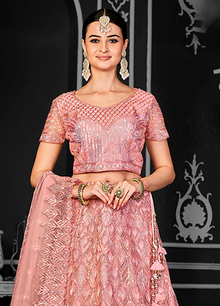 Multicolor Net Lehenga Set - Image 2
