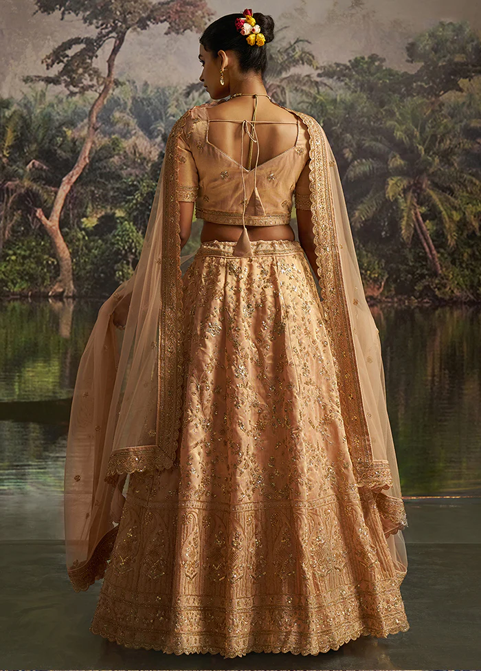 Peach Net Lehenga Set - Image 3