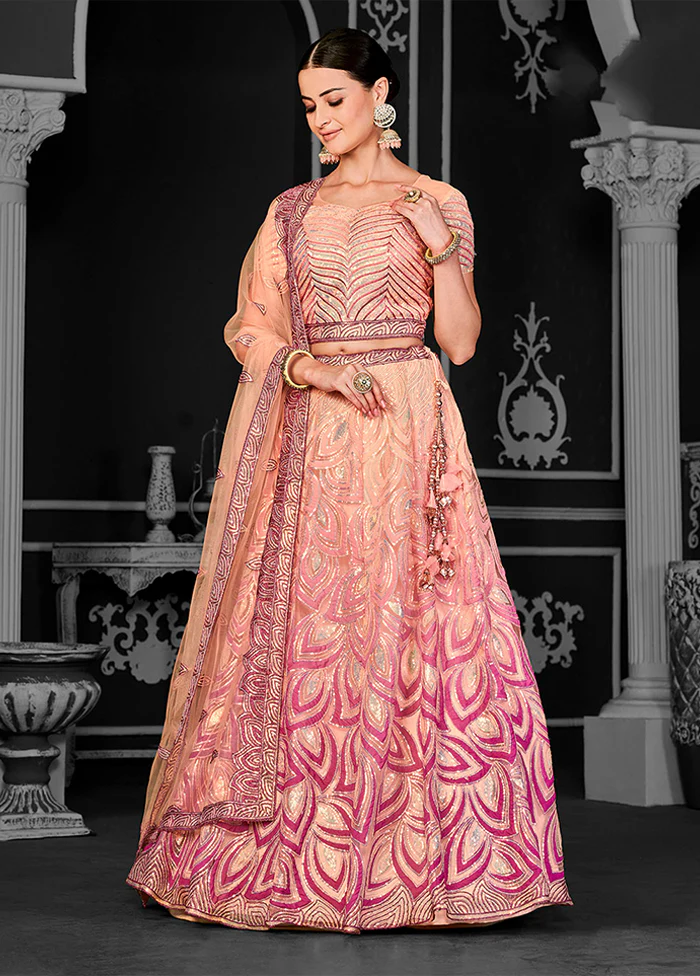 Peach Net Lehenga Set