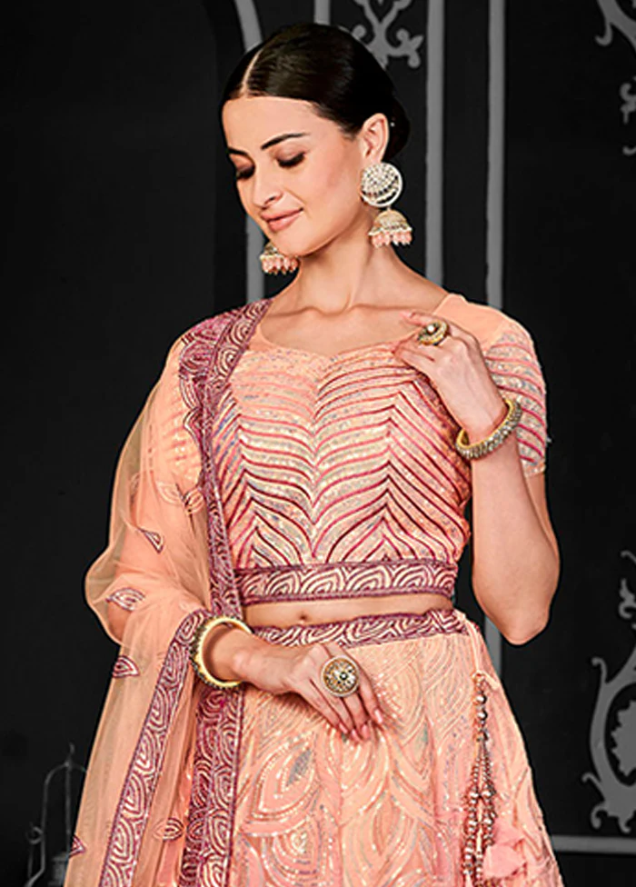 Peach Net Lehenga Set - Image 2